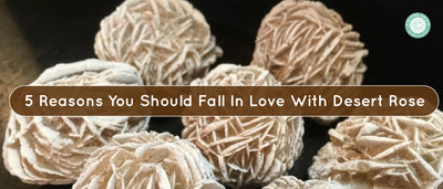 5 Reasons You Should Fall In Love With Desert Rose