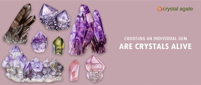 ARE CRYSTALS ALIVE?