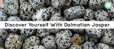 Discover Yourself With Dalmatian Jasper