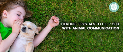 Healing Crystals To Help You With Animal Communication