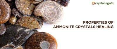 Properties of Ammonite Crystals Healing