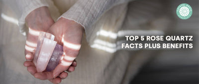 Top 5 Rose Quartz Facts Plus Benefits