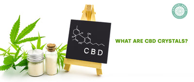 What are CBD crystals?